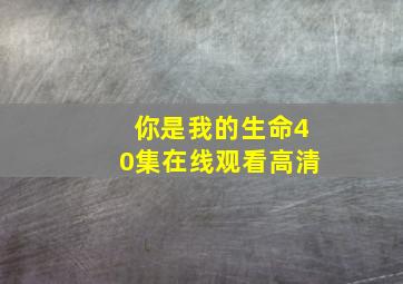 你是我的生命40集在线观看高清