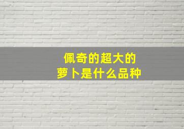 佩奇的超大的萝卜是什么品种