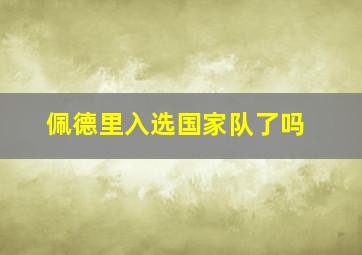 佩德里入选国家队了吗