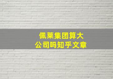 佩莱集团算大公司吗知乎文章