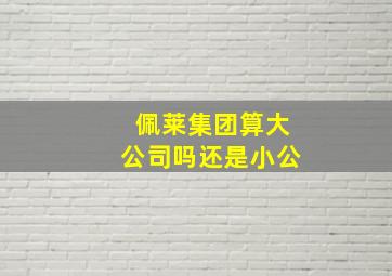 佩莱集团算大公司吗还是小公