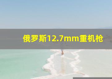 俄罗斯12.7mm重机枪