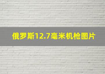 俄罗斯12.7毫米机枪图片