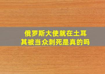 俄罗斯大使就在土耳其被当众刺死是真的吗