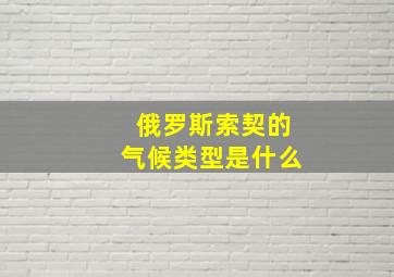 俄罗斯索契的气候类型是什么