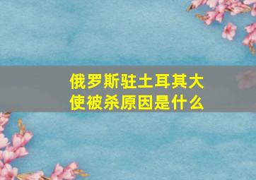 俄罗斯驻土耳其大使被杀原因是什么