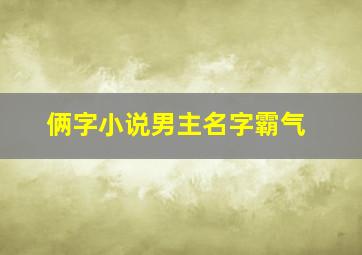 俩字小说男主名字霸气