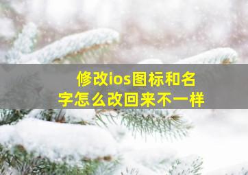 修改ios图标和名字怎么改回来不一样