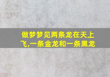 做梦梦见两条龙在天上飞,一条金龙和一条黑龙