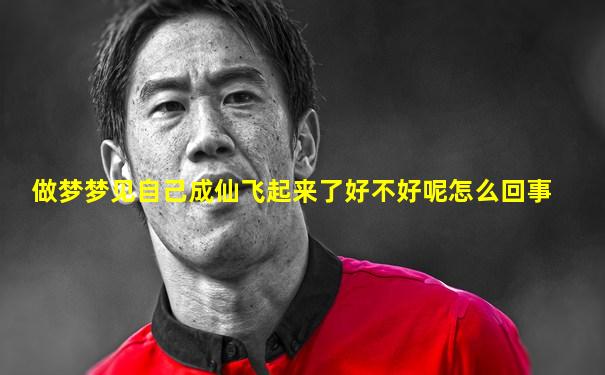 做梦梦见自己成仙飞起来了好不好呢怎么回事