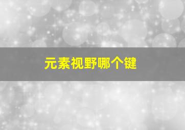 元素视野哪个键