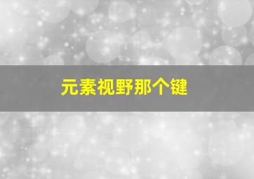 元素视野那个键