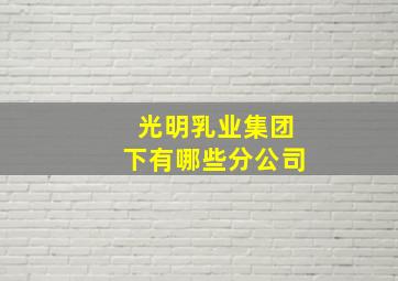 光明乳业集团下有哪些分公司