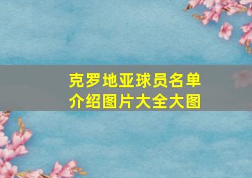 克罗地亚球员名单介绍图片大全大图