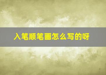 入笔顺笔画怎么写的呀