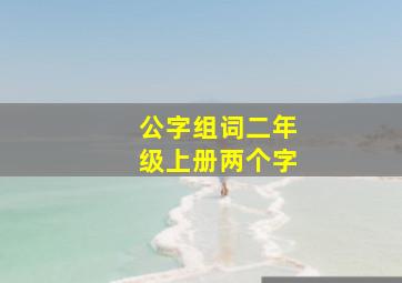 公字组词二年级上册两个字