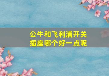 公牛和飞利浦开关插座哪个好一点呢