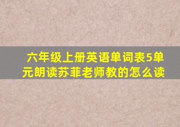 六年级上册英语单词表5单元朗读苏菲老师教的怎么读