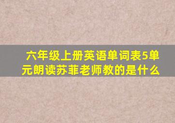 六年级上册英语单词表5单元朗读苏菲老师教的是什么