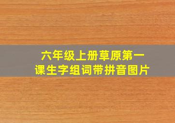 六年级上册草原第一课生字组词带拼音图片