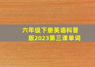 六年级下册英语科普版2023第三课单词