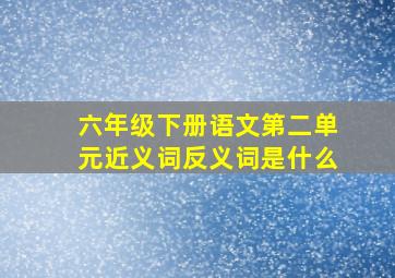 六年级下册语文第二单元近义词反义词是什么