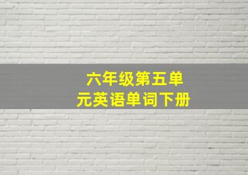 六年级第五单元英语单词下册