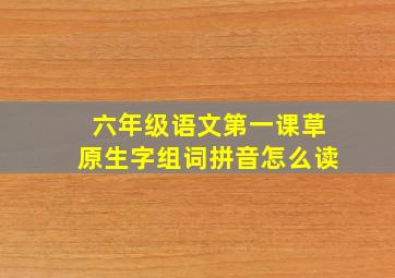 六年级语文第一课草原生字组词拼音怎么读