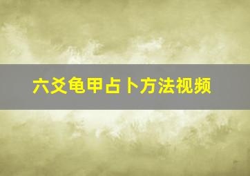 六爻龟甲占卜方法视频