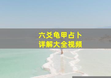 六爻龟甲占卜详解大全视频