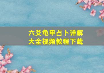 六爻龟甲占卜详解大全视频教程下载