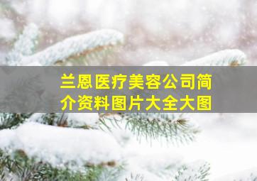 兰恩医疗美容公司简介资料图片大全大图