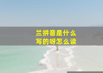 兰拼音是什么写的呀怎么读