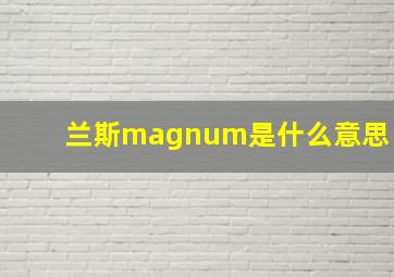 兰斯magnum是什么意思