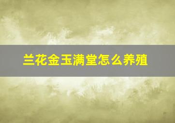 兰花金玉满堂怎么养殖