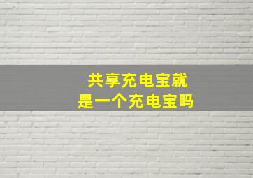 共享充电宝就是一个充电宝吗