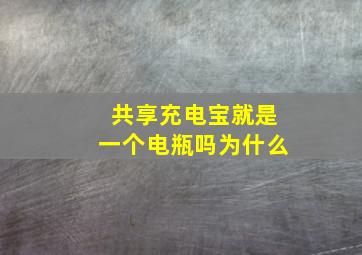 共享充电宝就是一个电瓶吗为什么