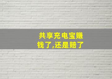 共享充电宝赚钱了,还是赔了