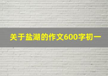 关于盐湖的作文600字初一