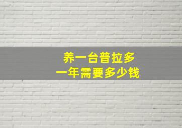 养一台普拉多一年需要多少钱