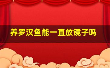 养罗汉鱼能一直放镜子吗