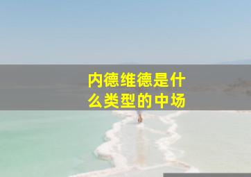 内德维德是什么类型的中场