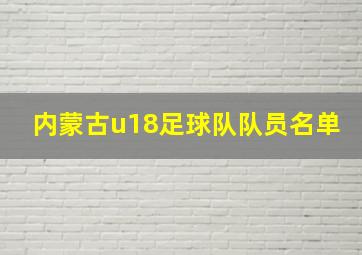 内蒙古u18足球队队员名单