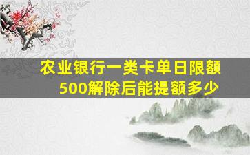 农业银行一类卡单日限额500解除后能提额多少