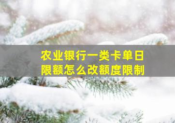 农业银行一类卡单日限额怎么改额度限制