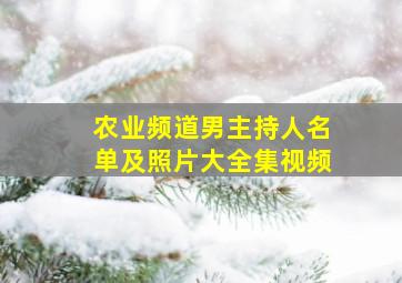 农业频道男主持人名单及照片大全集视频