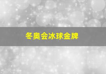 冬奥会冰球金牌