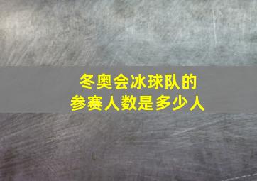 冬奥会冰球队的参赛人数是多少人