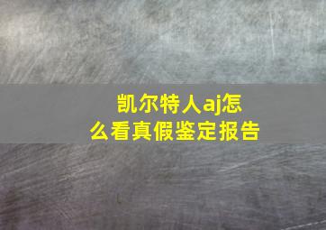 凯尔特人aj怎么看真假鉴定报告