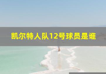 凯尔特人队12号球员是谁